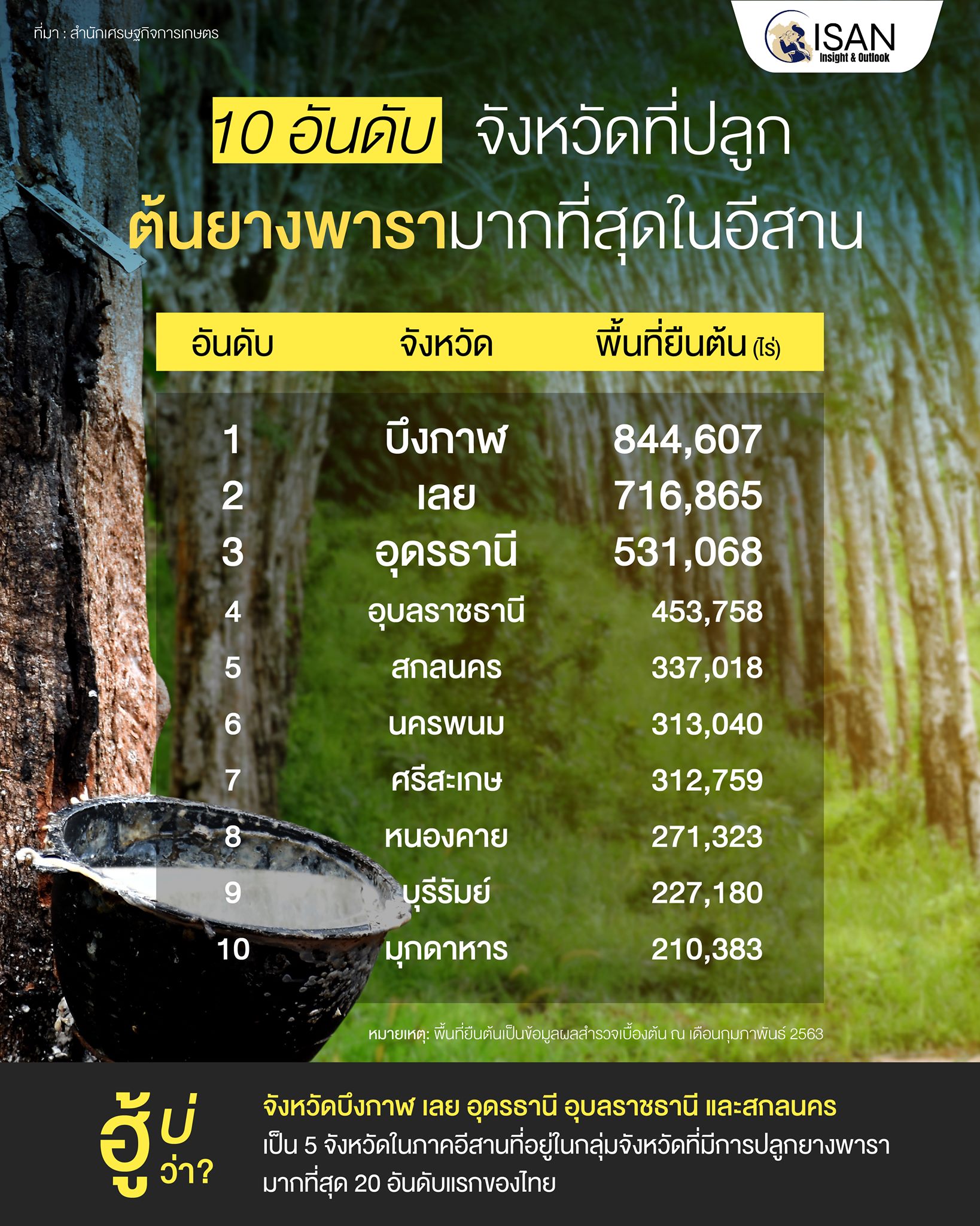 10 อันดับจังหวัดที่ปลูกต้นยางพารามากที่สุดในอีสาน - อีสานอินไซต์